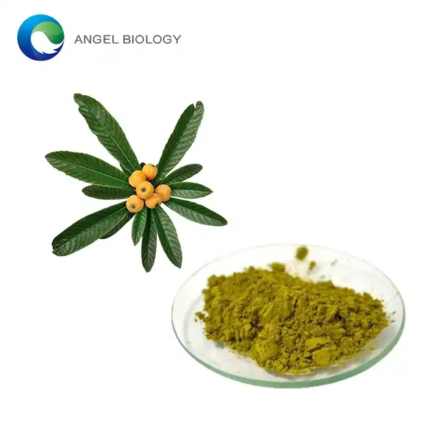 What does lLoquat Leaf Extract Powder do for skin?